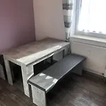 Sad100 - Gemuetliche Monteurwohnungen In 公寓 施万多夫